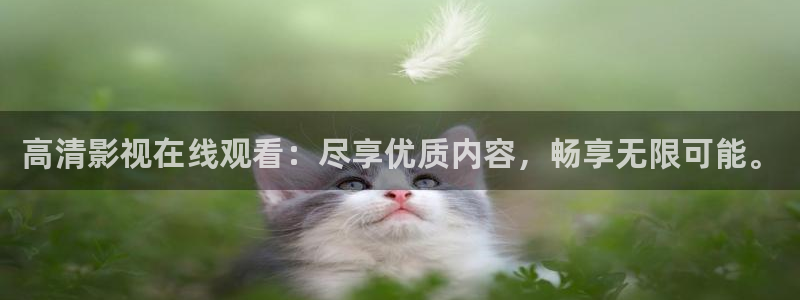神马电影达达兔电影院：高清影视在线观看：尽享优质内容，畅享无限可能。