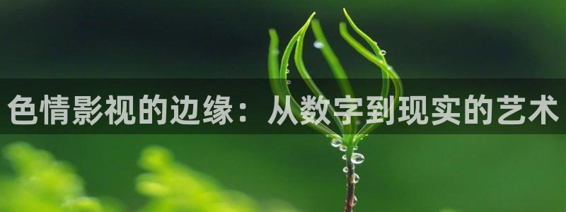 达达兔免费观看：色情影视的边缘：从数字到现实的艺术