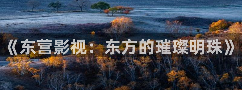 神马达达兔第九影院：《东营影视：东方的璀璨明珠》