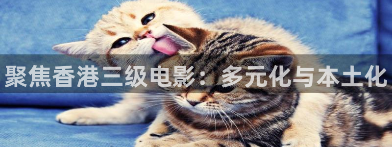 神马影院第九影院达达兔：聚焦香港三级电影：多元化与本土化