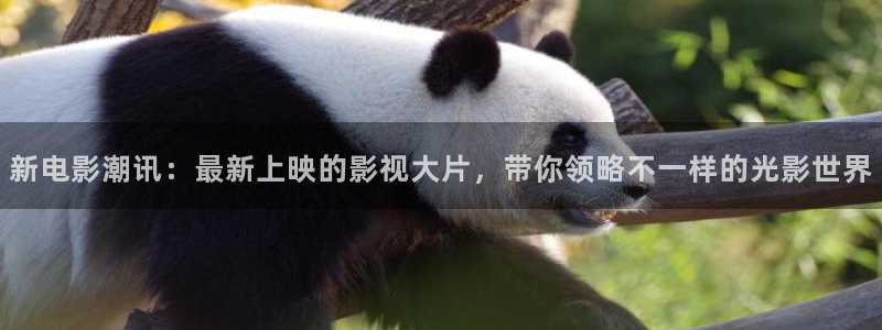 达达兔神马午夜影院：新电影潮讯：最新上映的影视大片，带你领略不一样的光影世界
