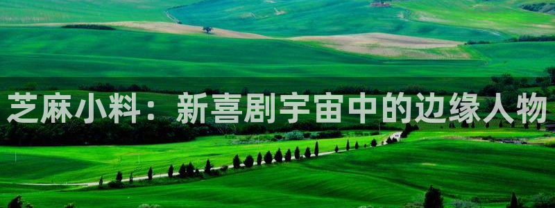 神马影院达达兔六度：芝麻小料：新喜剧宇宙中的边缘人物