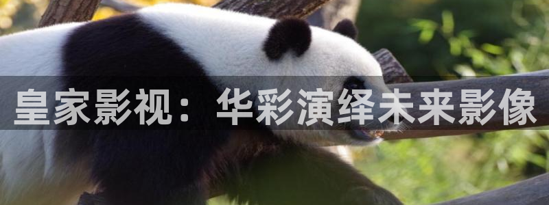 达达兔影院电视剧免费观看：皇家影视：华彩演绎未来影像